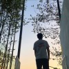 无结冰