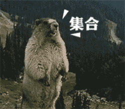 土拨鼠叫声动态图土拨鼠表情包下载暴走大事件版西西软件下载