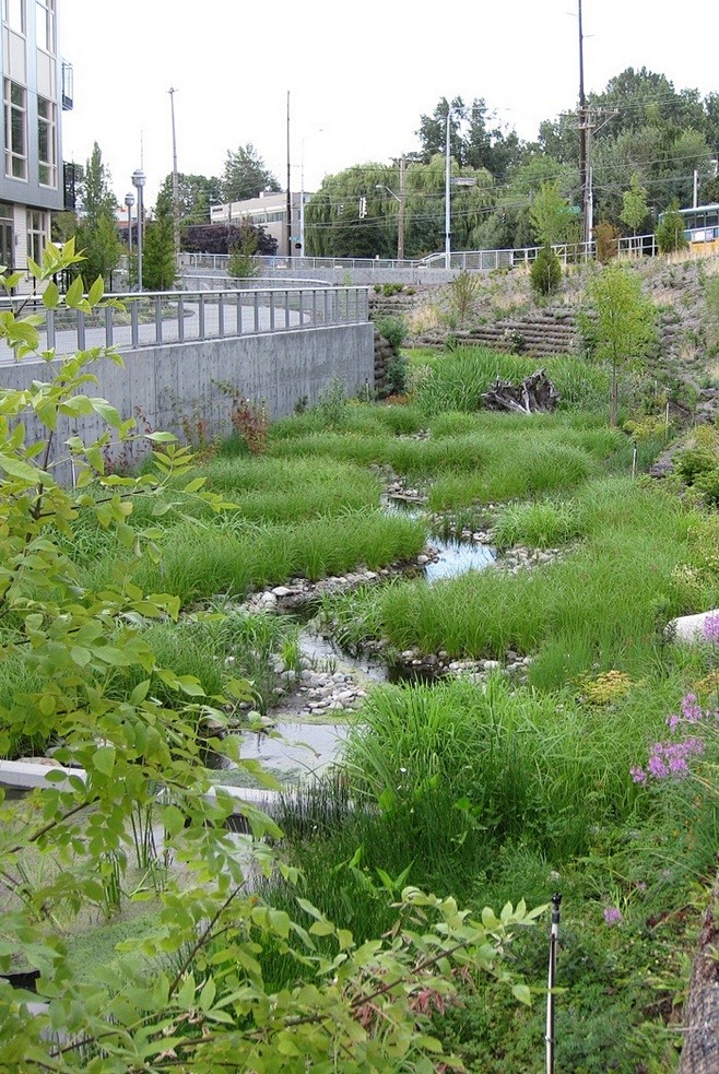 雨水花园生态景观海绵城市可持续现代都市景观园林景观设计素材店67