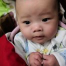 许子敬