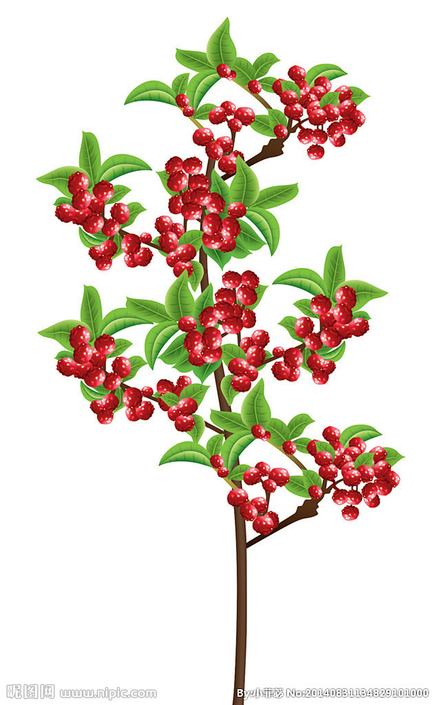 向阳goodluck从emo_mai转采于2021-09-17 10:18:22汉源贡椒 花椒插画