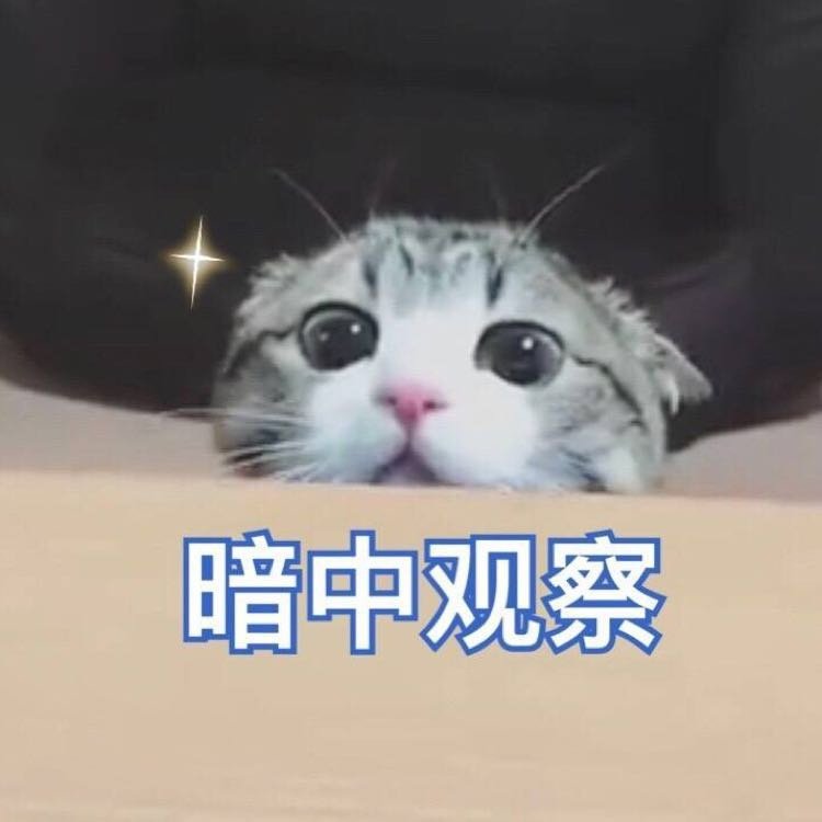 电波波波波波波波