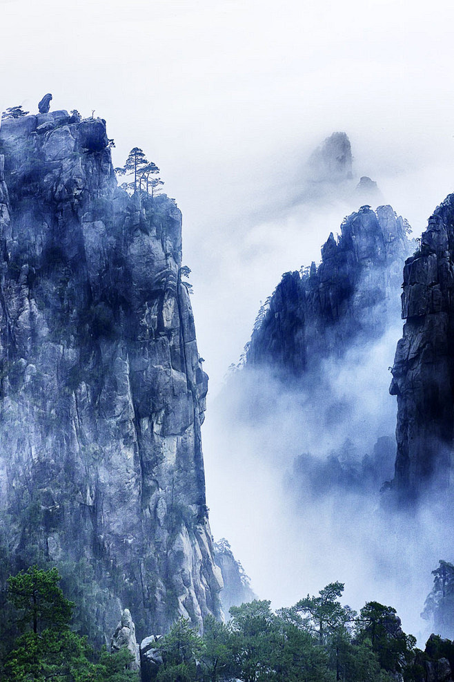 658_987竖版 竖屏