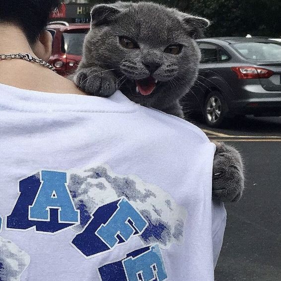 揽～