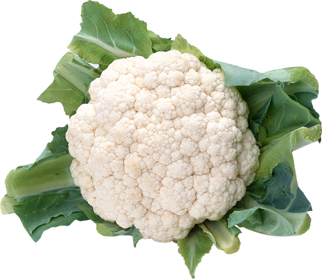 cauliflowerpngimage