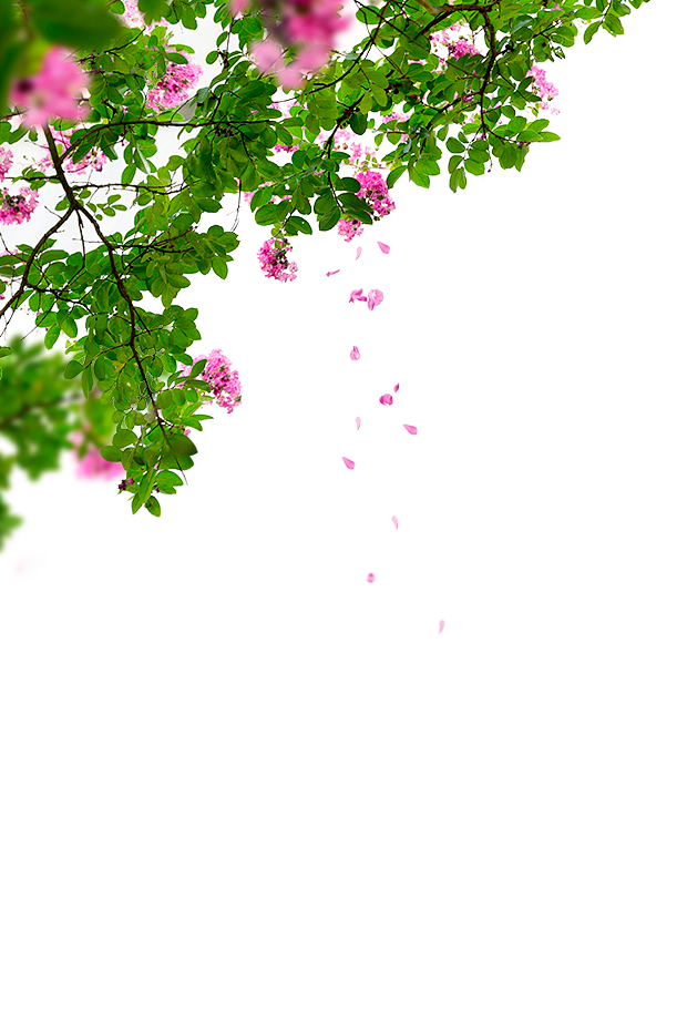 春季春天鲜花花朵免抠素材png