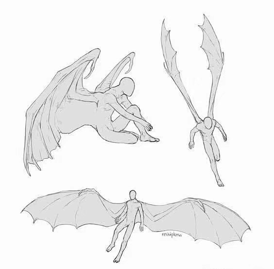 14:40:17龙 翅膀【角色】设计wrom该采集也在以下画板加载更多