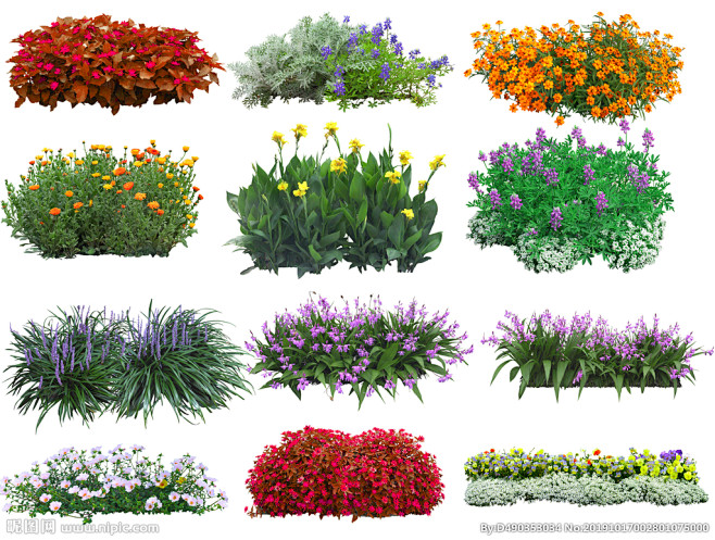 花丛素材