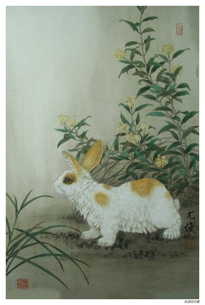 11:53:17李尤俊 工笔动物画——兔子国画