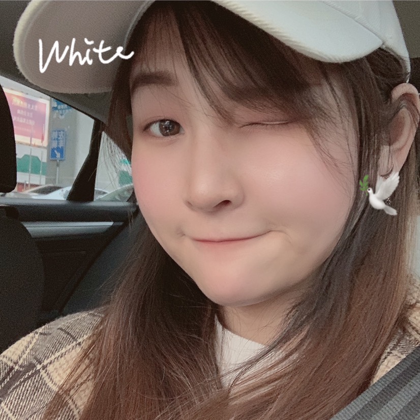 懒猫桃子