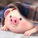 爱吃肉肉的圆滚滚0