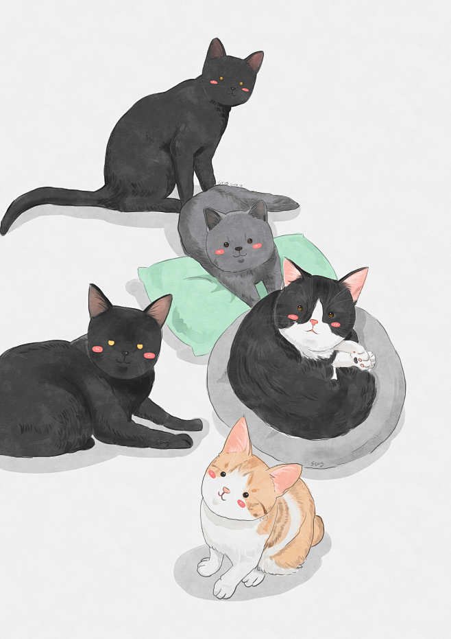 猫 插画 漫画 水彩