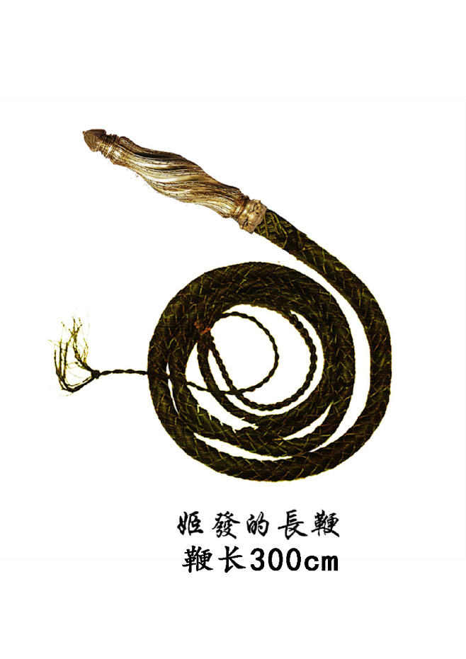 78911345从jswxcatcat转采于2021-10-22 22:08:16姬发的鞭子古风物or