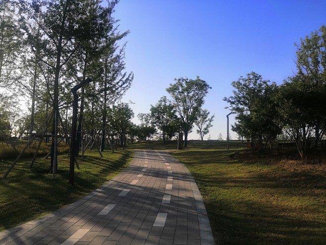 公园铺装园路石材透水混凝土漫步道pc砖