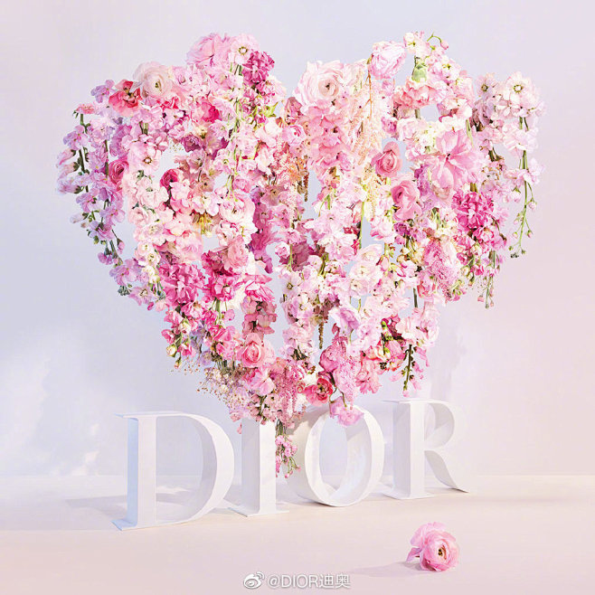 dior迪奥的微博微博