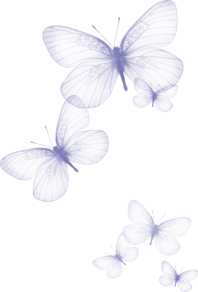 蝴蝶手绘素材png