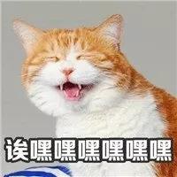 家盈呀呀呀
