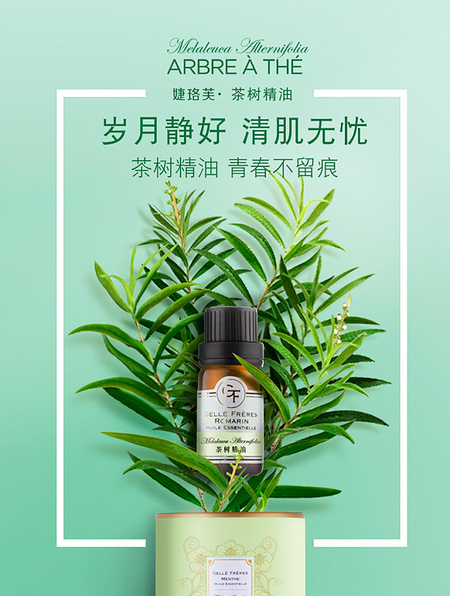 婕珞芙茶树精油10ml单方护肤祛痘控油印收缩毛孔熏香精油tmallcom天猫