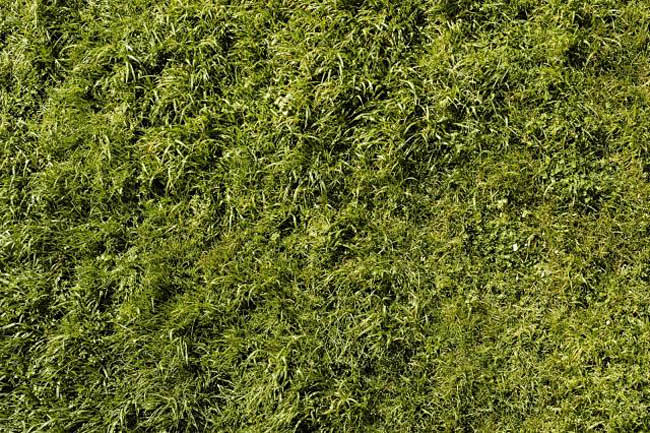 材质贴图园林景观规划总平面图铺装材质贴图ps彩平后期渲染素材淘宝网