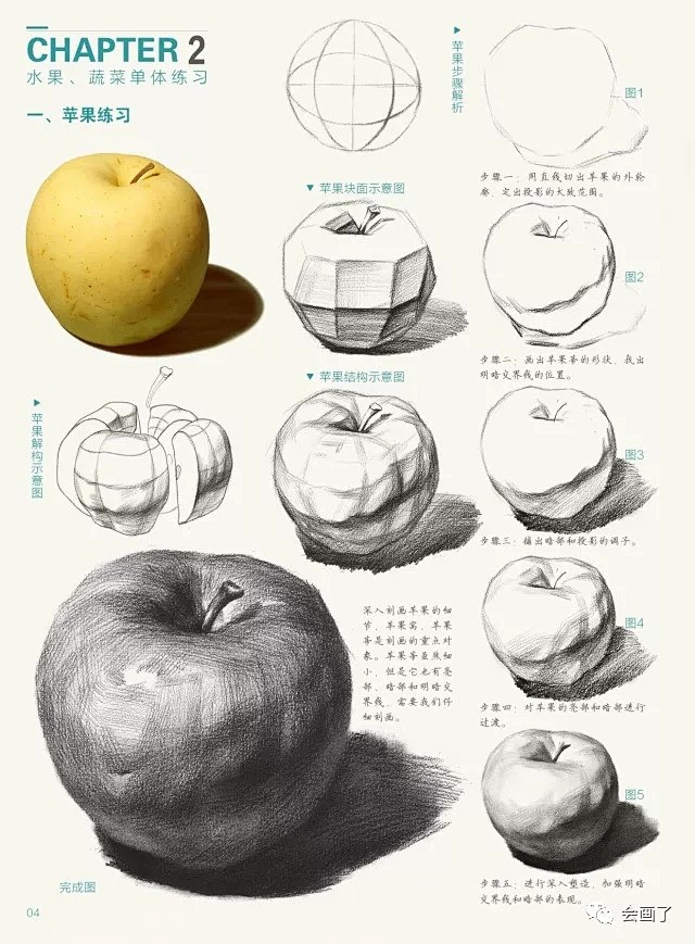敲门砖素描静物基础入门水果蔬菜陶瓷不锈钢塑料单体静物练习临摹范本