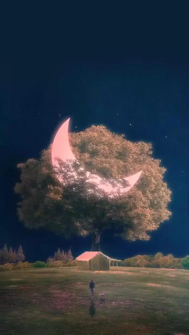 一只白榆啊