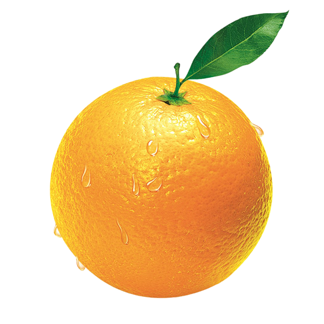 橙子png