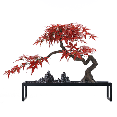 中式仿真红色鸡爪枫树枯山水玄关茶艺室茶桌禅意会所铁