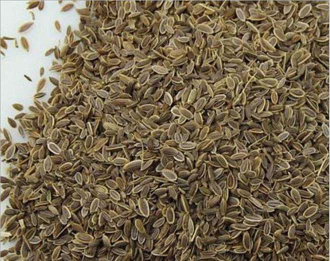 【莳萝】别称:  土茴香.最常见的用法是.