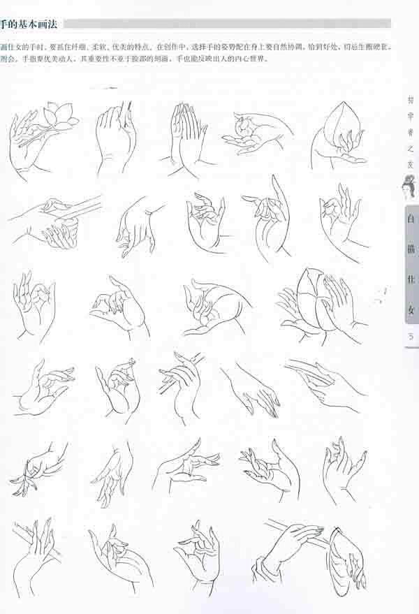 手的仕女画法的搜索