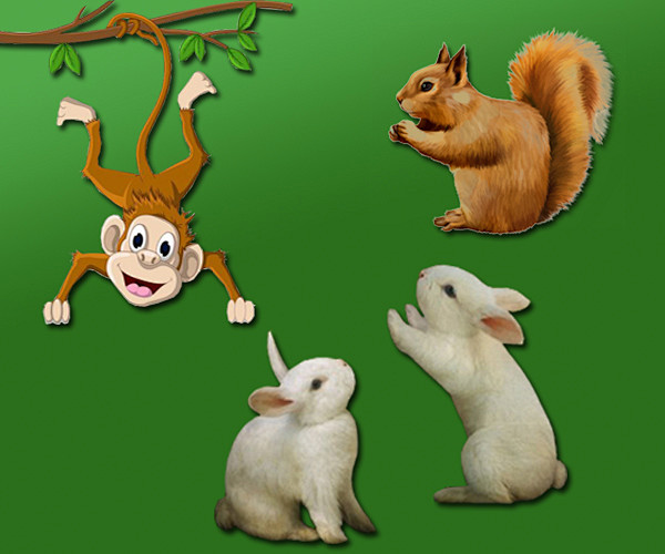 猴子兔子松鼠