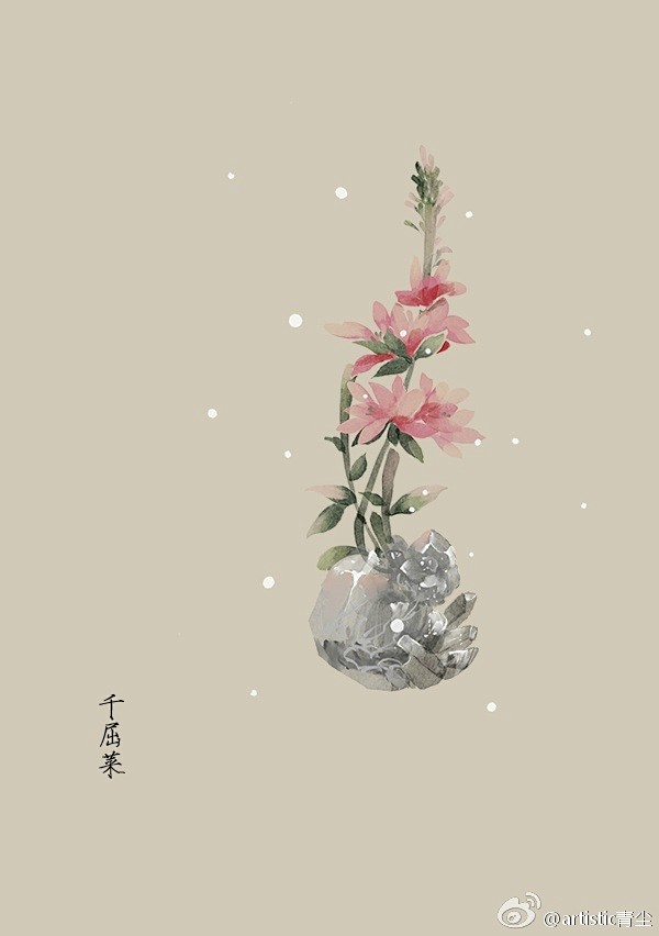 365天生日花 7月27日千屈菜 Lythrum Salicaria L 花语 孤独