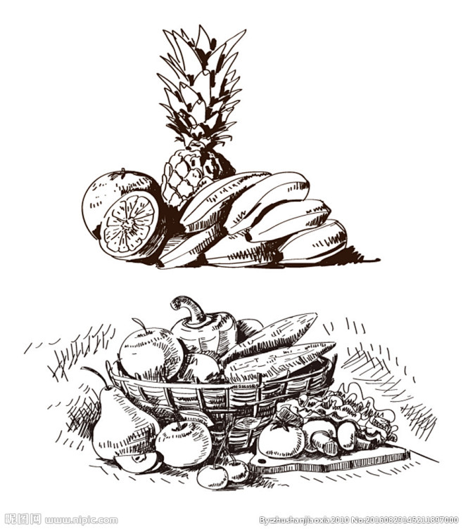 水果素描
