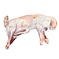 内蒙古新鲜全羊肉整羊整只羔羊羊8kg左右生鲜锡盟羊包邮【价格、品牌、报价】-1号店