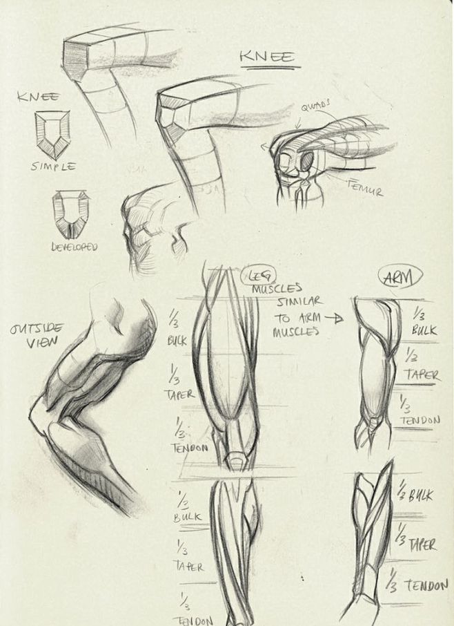 素描造型速写铅笔画人体结构