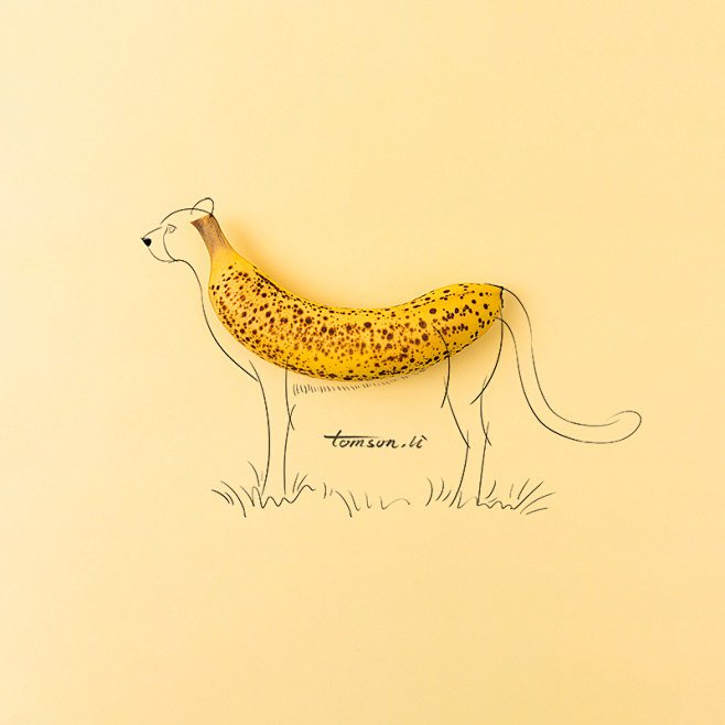 创意插画手绘静物摄影简笔画