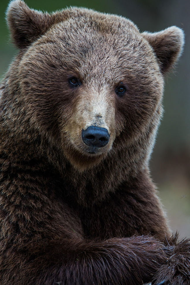 不论什么时代大道至简都是一分耕耘一分收获天才往往
