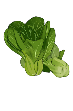 风曳星采集到插画