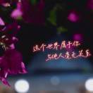 小玉钰6