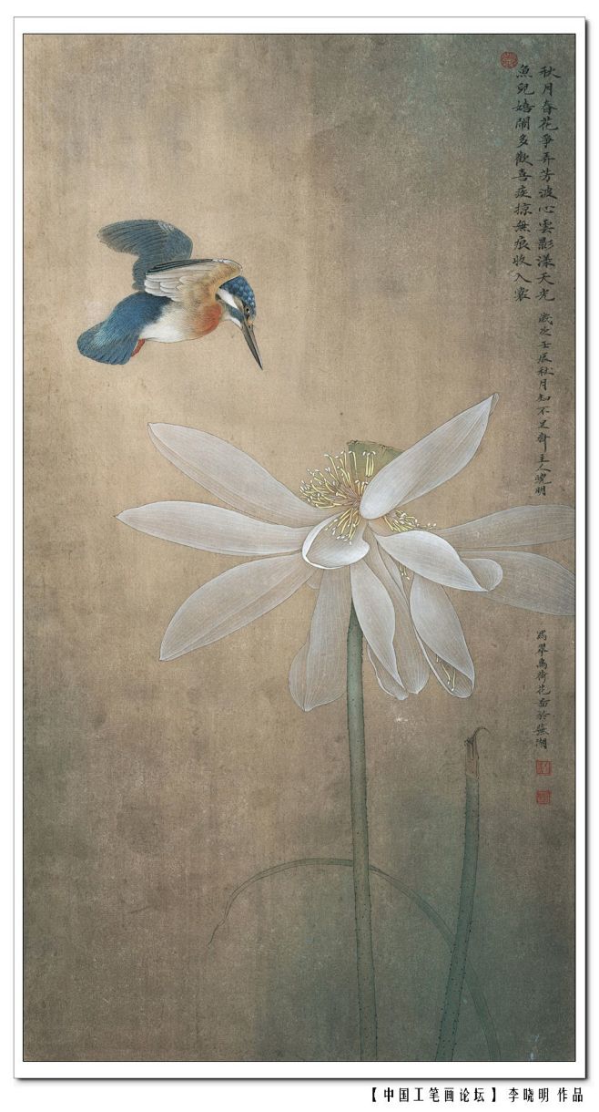 工作室李晓明2012年工笔花鸟作品选46p独家李晓明工作室中国工笔画