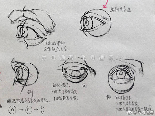 眼睛结构分析与画法讲解作者朱丹速写67676767