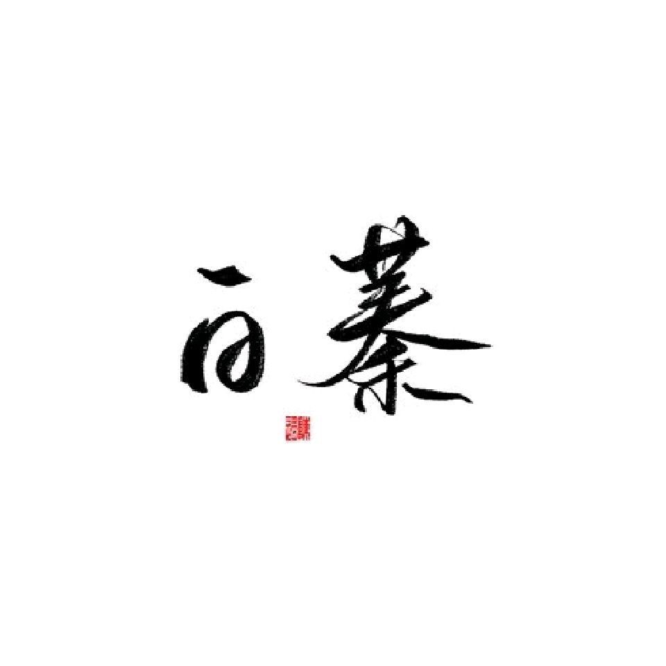 美工白蓁
