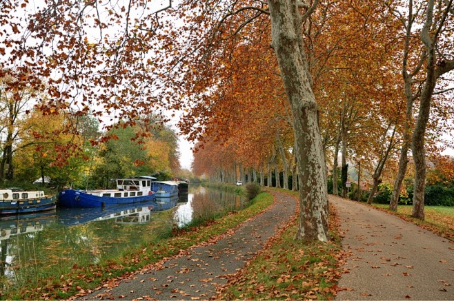 法国南运河lecanaldumidi