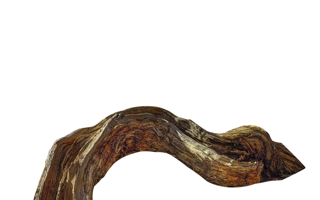 粗枯木朽木大树枝png