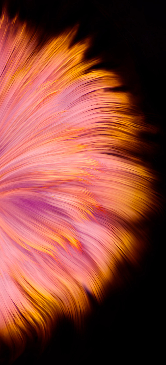 华为mate40系列官方壁纸全套原图