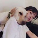 橙子橙子oooo