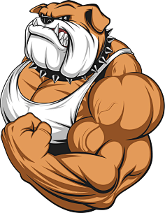 春节漫画-花瓣网|陪你做生活的设计师 | 展示肌肉的沙皮狗图片