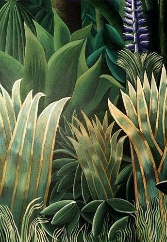 植物卢梭的绘画作品亨利卢梭 色彩
