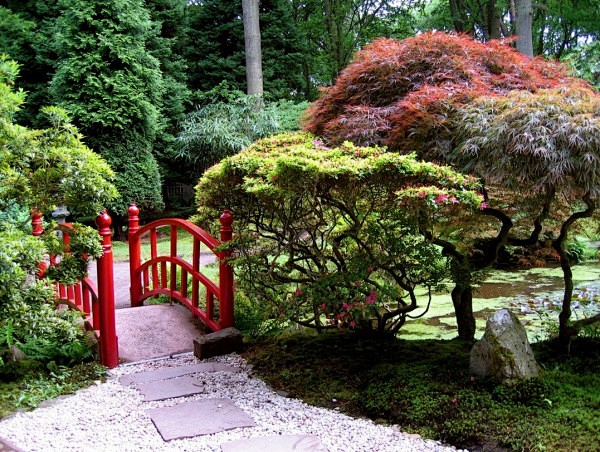 園林景觀沙石水植物禪意日本錦鯉魚池