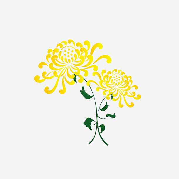 手绘菊花