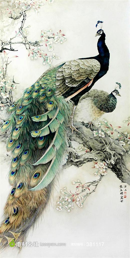 13:34:32工笔孔雀图片素材艺术设计图片素材水墨丹青——画画【花鸟】